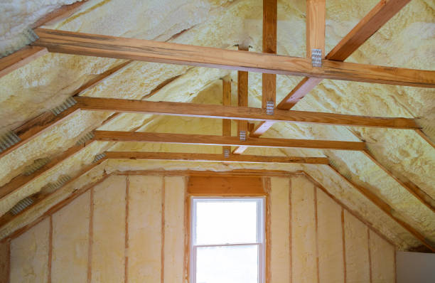 Types of Insulation We Offer in Lely Resort, FL