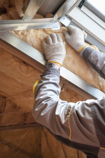 Best Cellulose Insulation in Lely Resort, FL