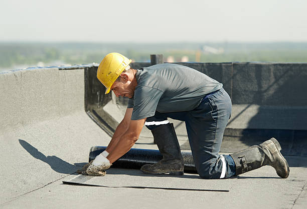 Best Geographic-Specific Insulation Services in Lely Resort, FL