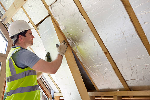 Best Fiberglass Insulation in Lely Resort, FL